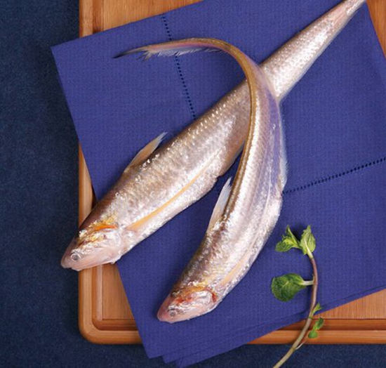長(zhǎng)江刀魚面臨禁捕危機(jī)，價(jià)格暴漲達(dá)4000元一斤