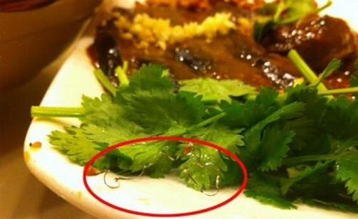 食客在餐廳吃到鋼絲，餐廳被判賠償食客206萬，并罰款686萬