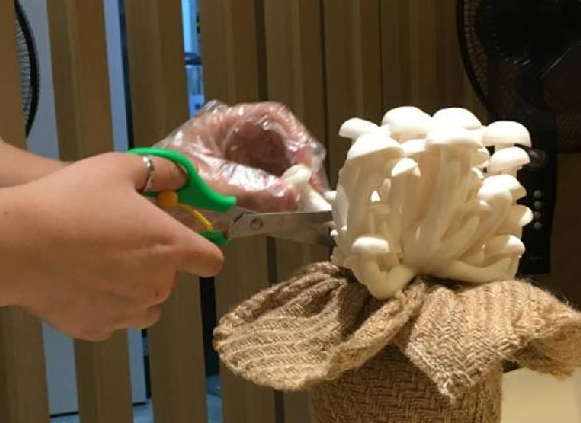 餐飲三巨頭的“爆品”玄機，其實就是4個字|餐飲界