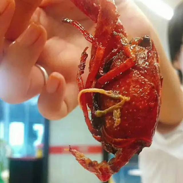 帝都當(dāng)紅小龍蝦測(cè)評(píng)：誰(shuí)家的“麻小”在說(shuō)謊？|餐飲界