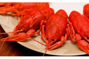 2017美食消費(fèi)報(bào)告：90后成消費(fèi)主體、消費(fèi)者最愛小龍蝦、6成消費(fèi)者習(xí)慣吃宵夜|餐飲界