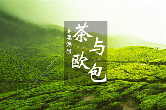 9個月開600家店，漫雪的茶憑啥攻占全國市場？|餐飲界